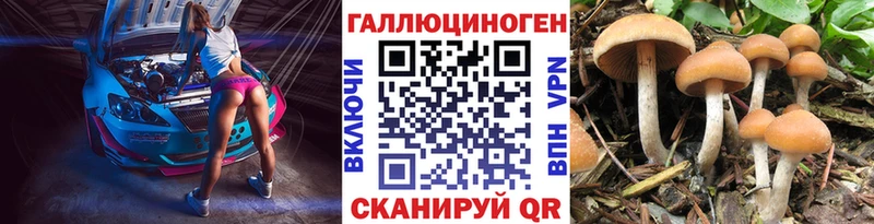 Псилоцибиновые грибы MAGIC MUSHROOMS  Облучье 